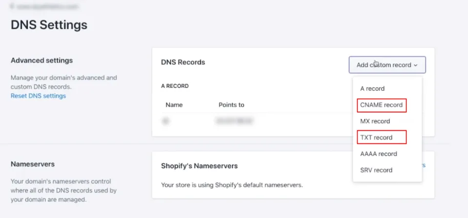 Screenshot: 4. Click Add custom record, and then select the record type that you want to add.