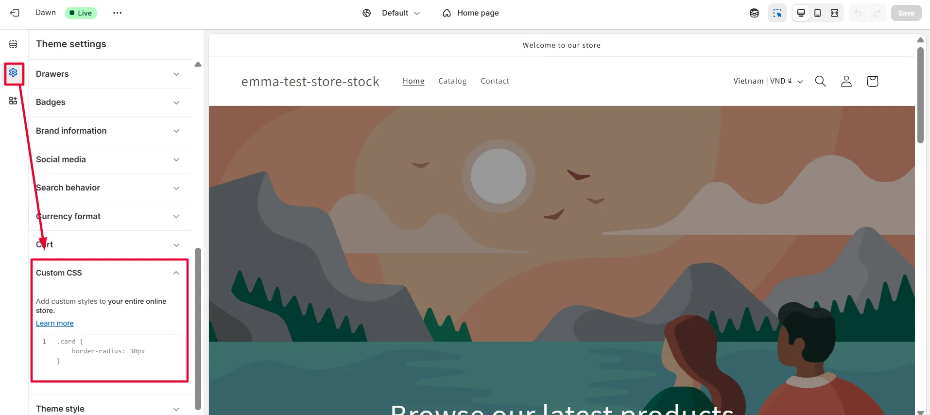 Screenshot: STEP 2: Find theme settings Custom CSS