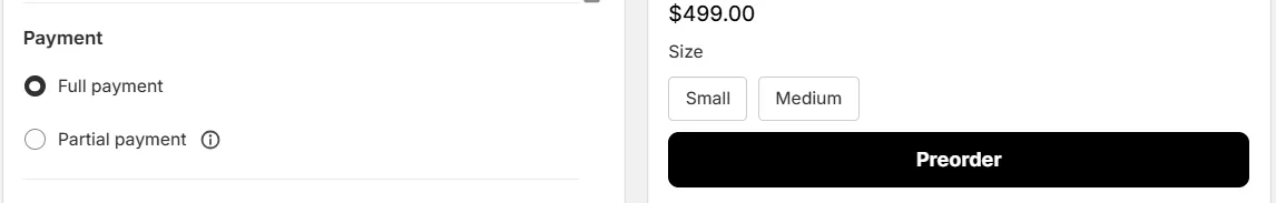 Screenshot: No Shopify Payments required