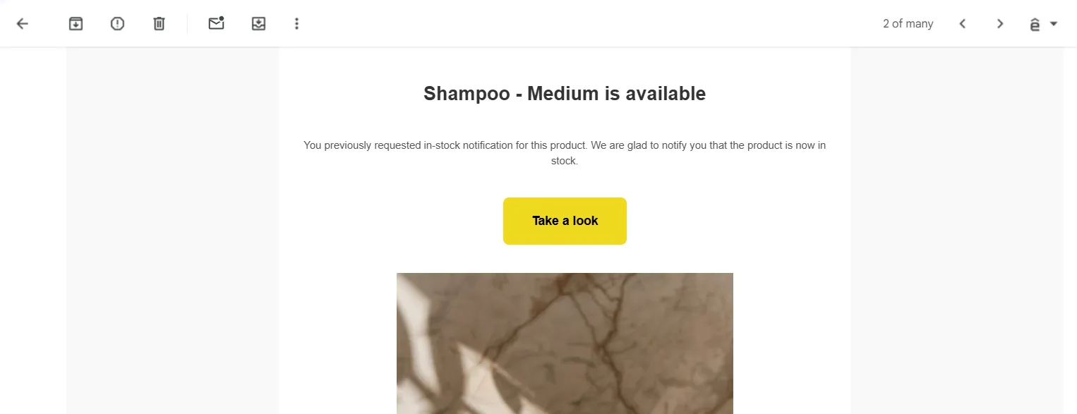 Screenshot: The message includes a direct link to the product page so they can purchase right away.
